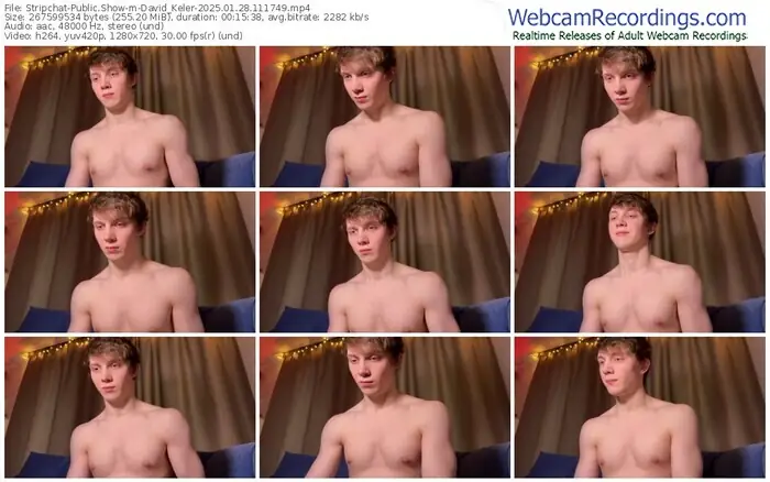 stripchat-david_keler-01-28-2025-11-17-49