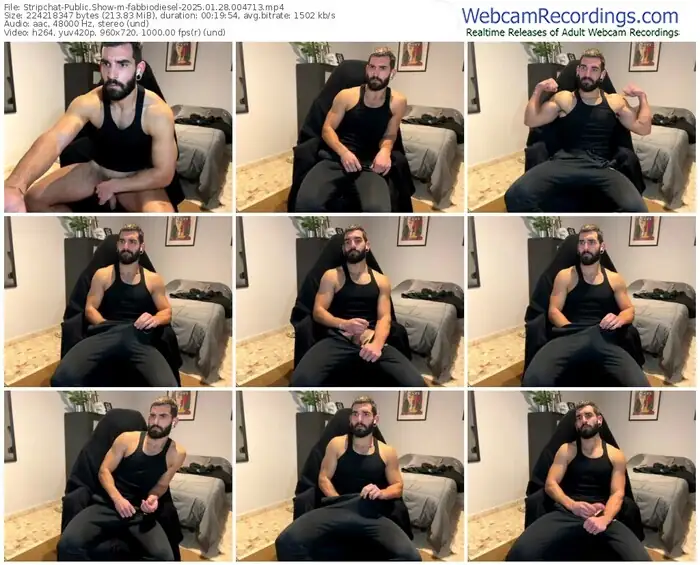 stripchat-fabbiodiesel-01-28-2025-00-47-13