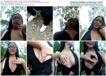 stripchat--vickky-01-29-2025-22-42-14