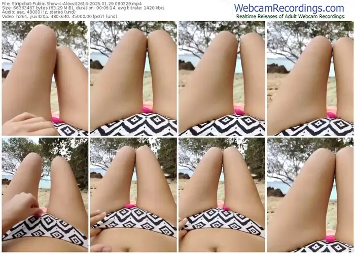 stripchat-alexvit2616-01-29-2025-08-03-29