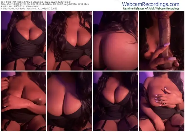 stripchat-blaackcat-01-29-2025-22-25-43