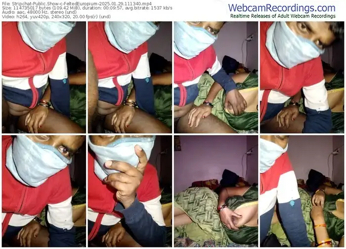 stripchat-feltedeuropium-01-29-2025-11-13-40