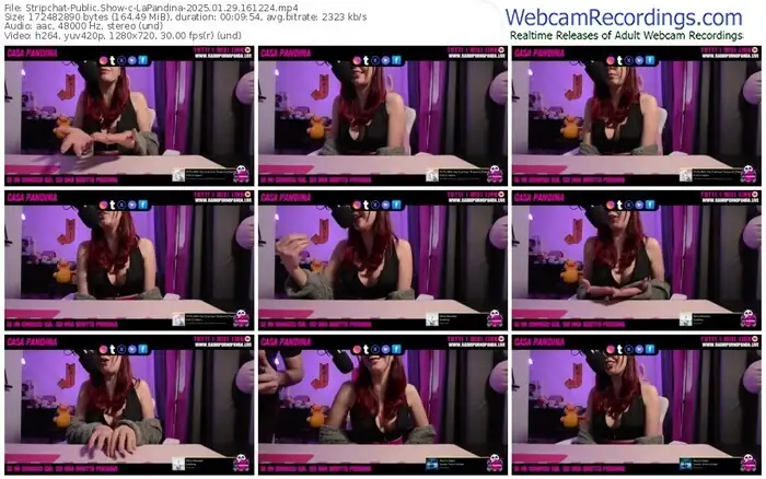 stripchat-lapandina-01-29-2025-16-12-24