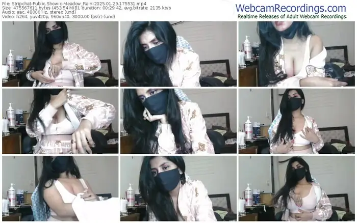 stripchat-meadow_rain-01-29-2025-17-55-31