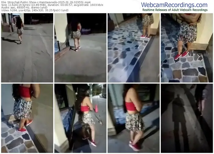 stripchat-nanitaoviedo-01-29-2025-02-35-51