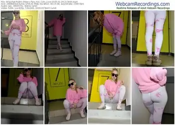 stripchat-two_hot_cats_love-01-29-2025-21-34-44