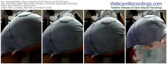 stripchat-you-kitty2025-01-29-2025-01-07-34