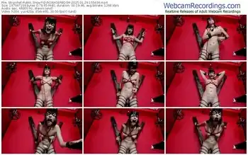 stripchat-evadangerbdsm-01-29-2025-15-54-39