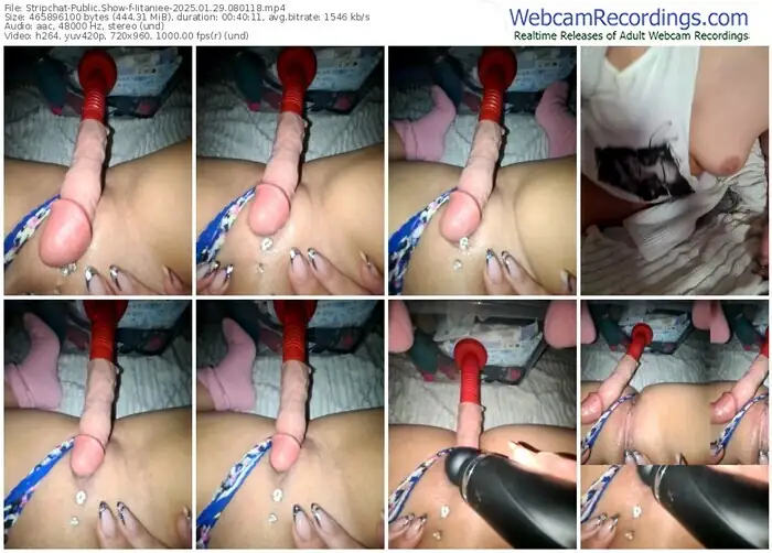 stripchat-iitaniee-01-29-2025-08-01-18