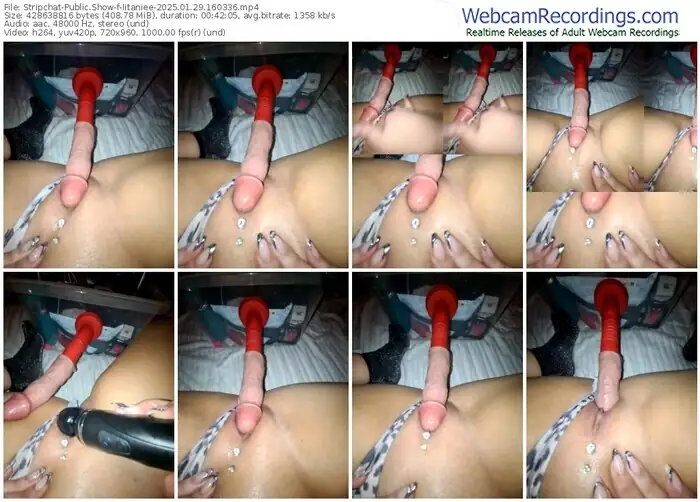 stripchat-iitaniee-01-29-2025-16-03-36