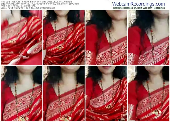 stripchat-indian_desi_wife-01-29-2025-05-12-02