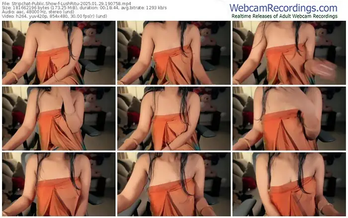 stripchat-lushritu-01-29-2025-19-07-58