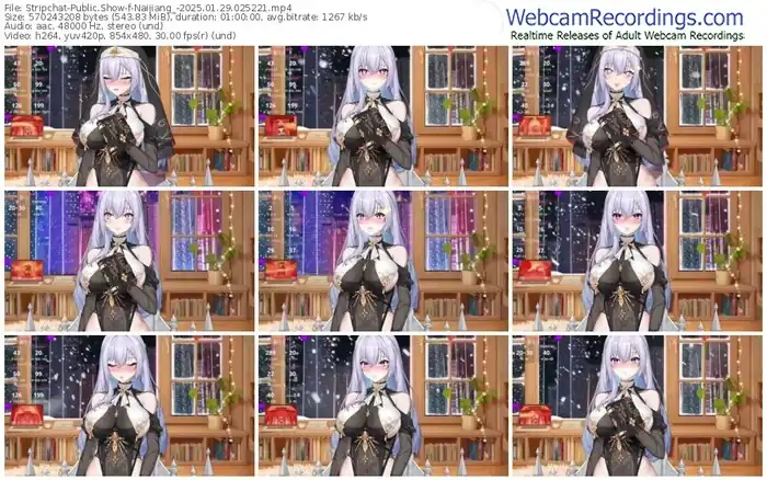 stripchat-naijiang_-01-29-2025-02-52-21