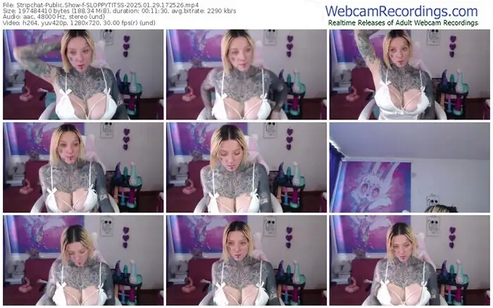 stripchat-sloppytitss-01-29-2025-17-25-26