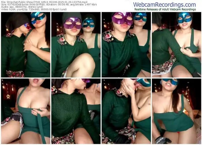 stripchat-the_girls_room-01-29-2025-13-37-56