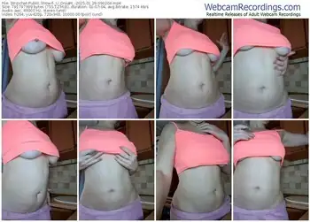 stripchat-_u_dream_-01-29-2025-09-02-04