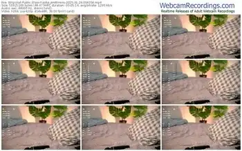 stripchat-sofia_prettiness-01-29-2025-00-43-56