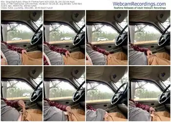 stripchat-themechanic420-01-29-2025-13-11-04