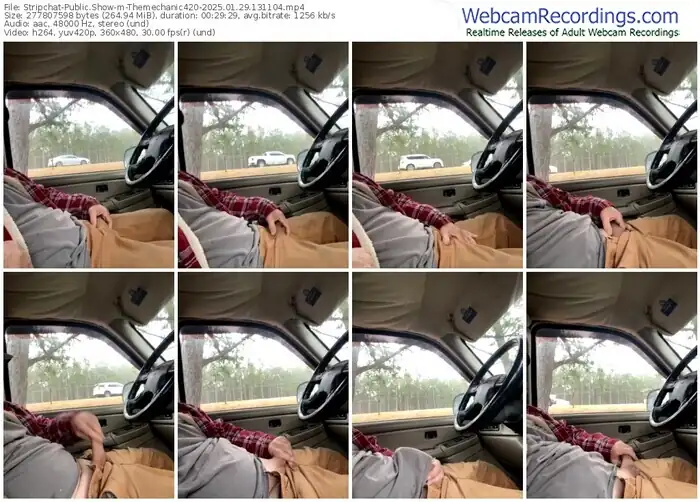 stripchat-themechanic420-01-29-2025-13-11-04