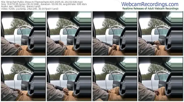 stripchat-themechanic420-01-29-2025-23-19-28