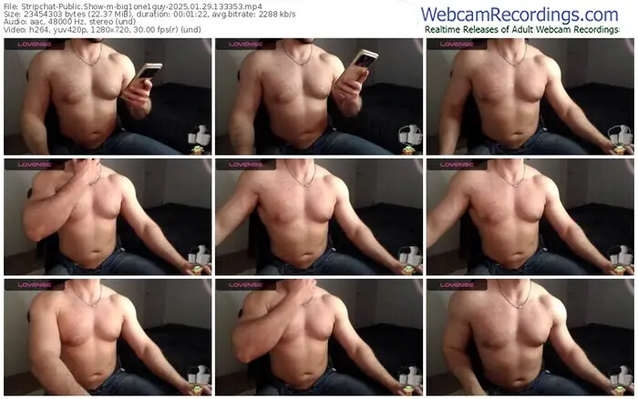 stripchat-big1one1guy-01-29-2025-13-33-53
