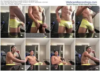 stripchat-sendfer-01-29-2025-03-18-00