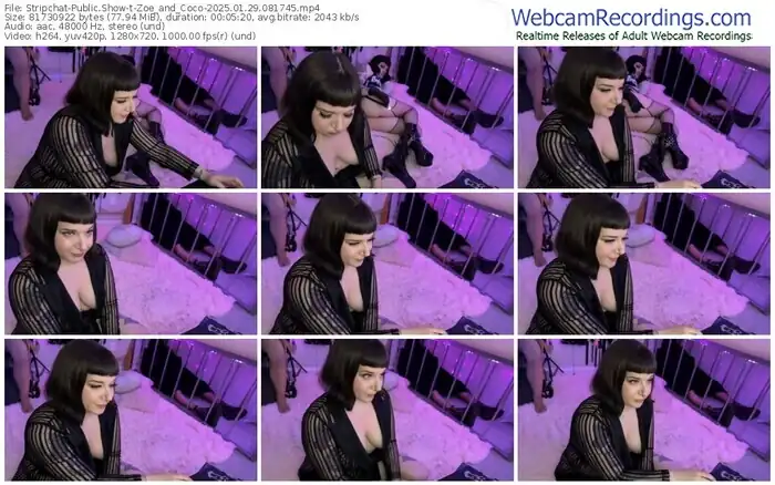 stripchat-zoe_and_coco-01-29-2025-08-17-45