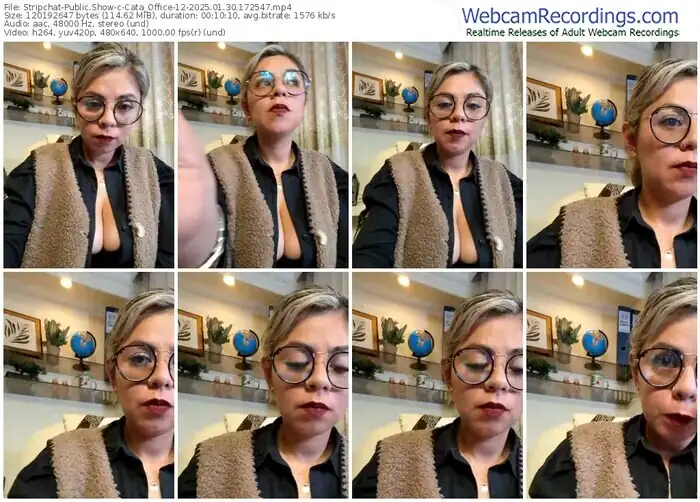 stripchat-cata_office-12-01-30-2025-17-25-47