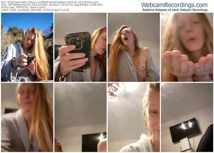 stripchat-goldenflamegoddess-01-30-2025-20-03-42