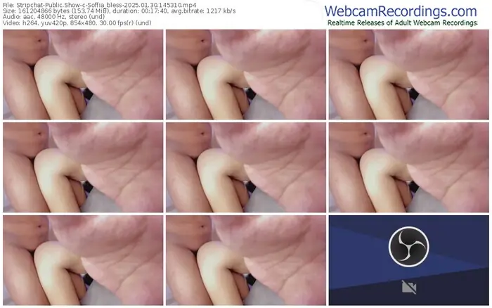 stripchat-soffia_bless-01-30-2025-14-53-10