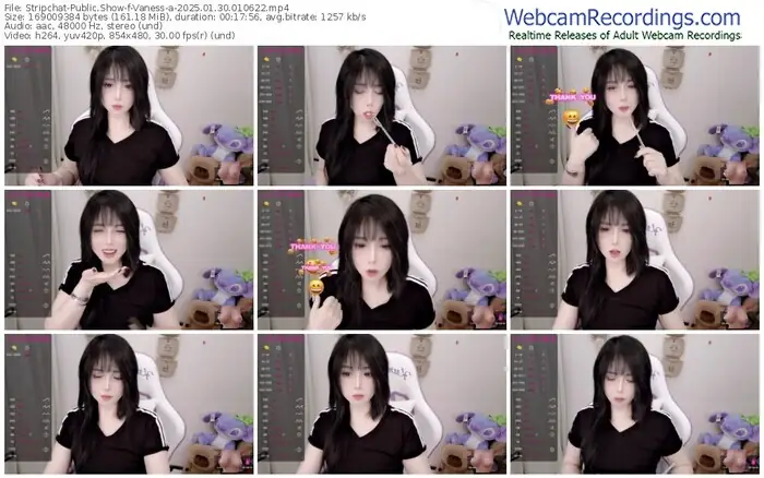 stripchat-vaness-a-01-30-2025-01-06-22