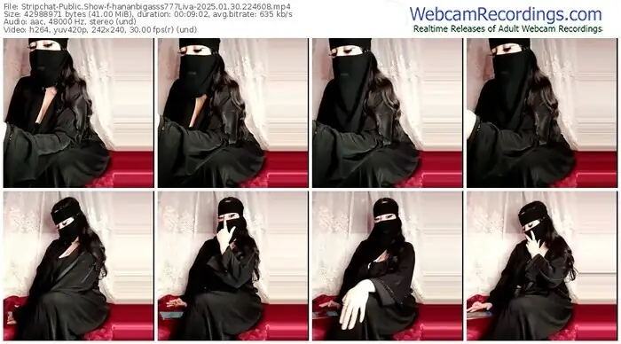 stripchat-hananbigasss777liva-01-30-2025-22-46-08