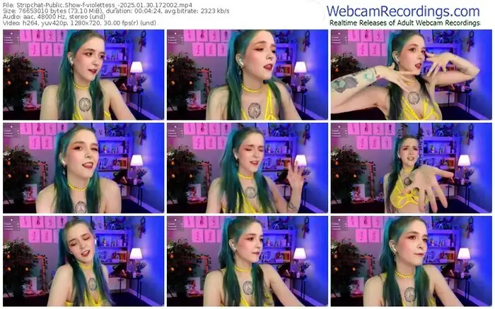 stripchat-violettess_-01-30-2025-17-20-02