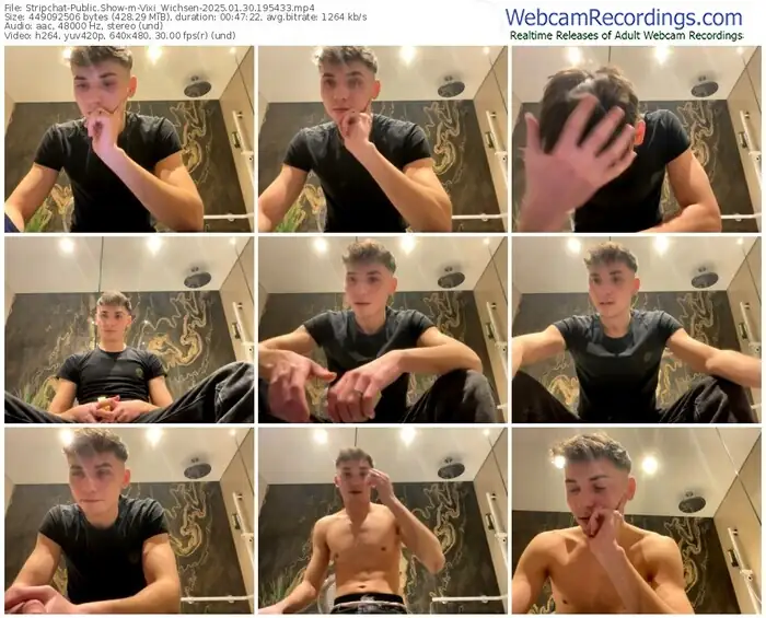 stripchat-vixi_wichsen-01-30-2025-19-54-33