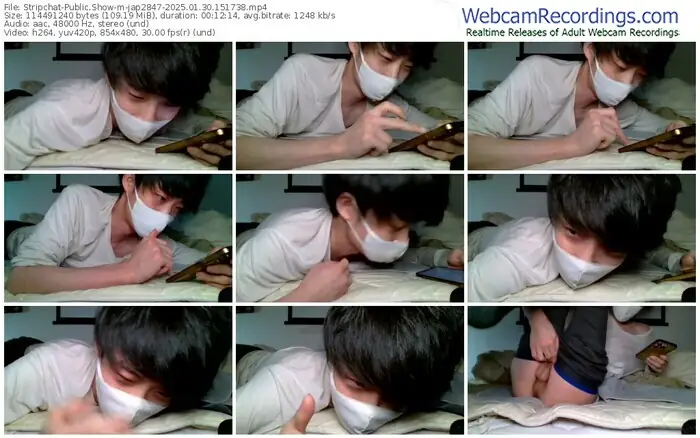 stripchat-jap2847-01-30-2025-15-17-38