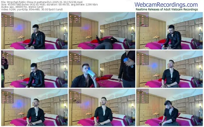 stripchat-petterwilly1-01-30-2025-15-22-39