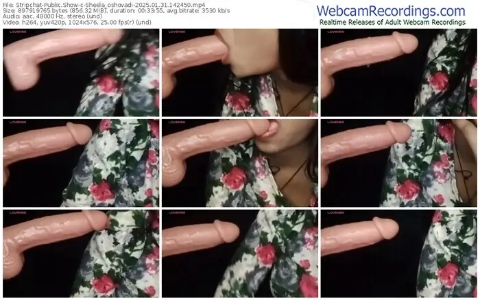 stripchat-sheela_oshovadi-01-31-2025-14-24-50