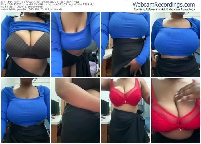stripchat-shizuka-00-01-31-2025-19-09-55