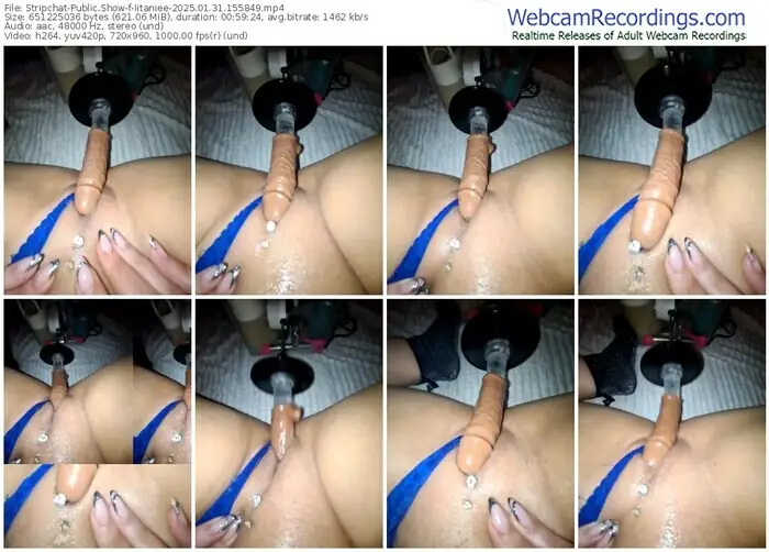 stripchat-iitaniee-01-31-2025-15-58-49