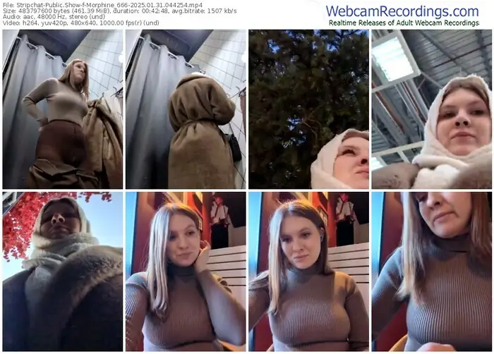 stripchat-morphine_666-01-31-2025-04-42-54