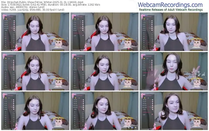 stripchat-wise_whiter-01-31-2025-13-40-01