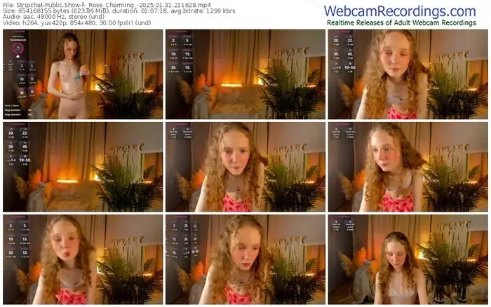 stripchat-_rose_charming_-01-31-2025-21-16-28