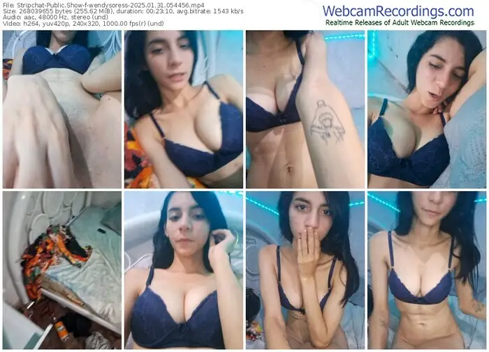 stripchat-wendysoress-01-31-2025-05-44-56