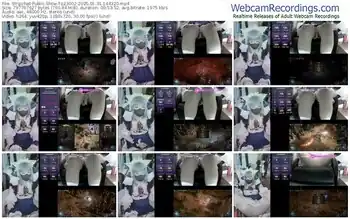 stripchat-z23002-01-31-2025-14-43-20