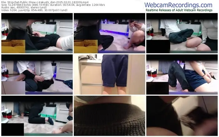 stripchat-kakushi_dori-02-01-2025-18-22-09