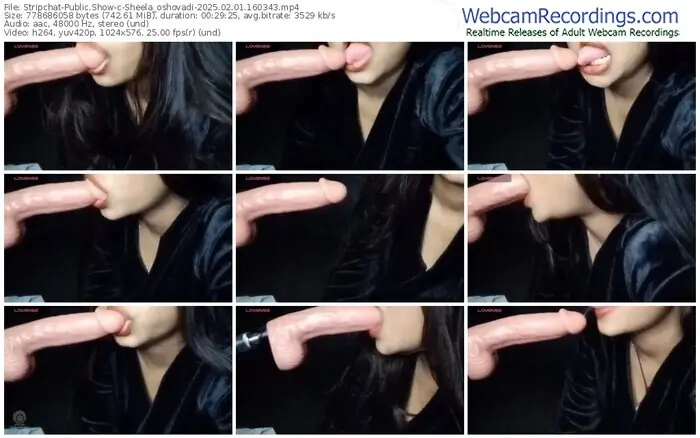 stripchat-sheela_oshovadi-02-01-2025-16-03-43