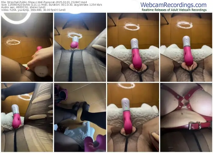 stripchat-wet-pussycat-02-01-2025-15-28-47
