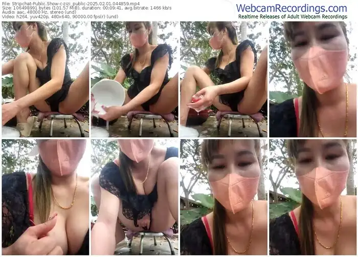 stripchat-zizi_public-02-01-2025-04-48-59