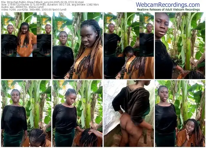 stripchat-black_juicy24-02-01-2025-07-21-32