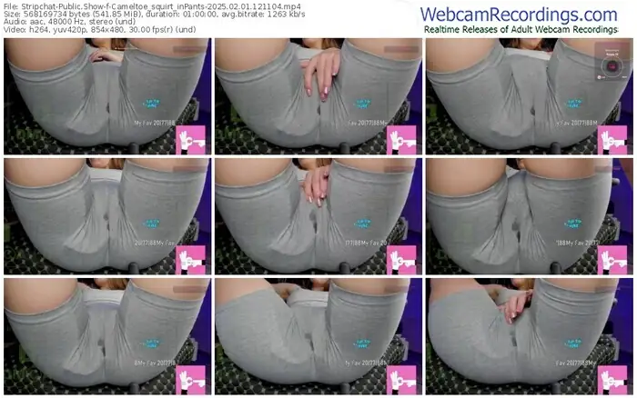 stripchat-cameltoe_squirt_inpants-02-01-2025-12-11-04
